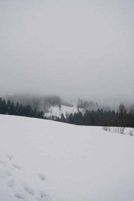 Villa Acko Oscadnica Esterno foto