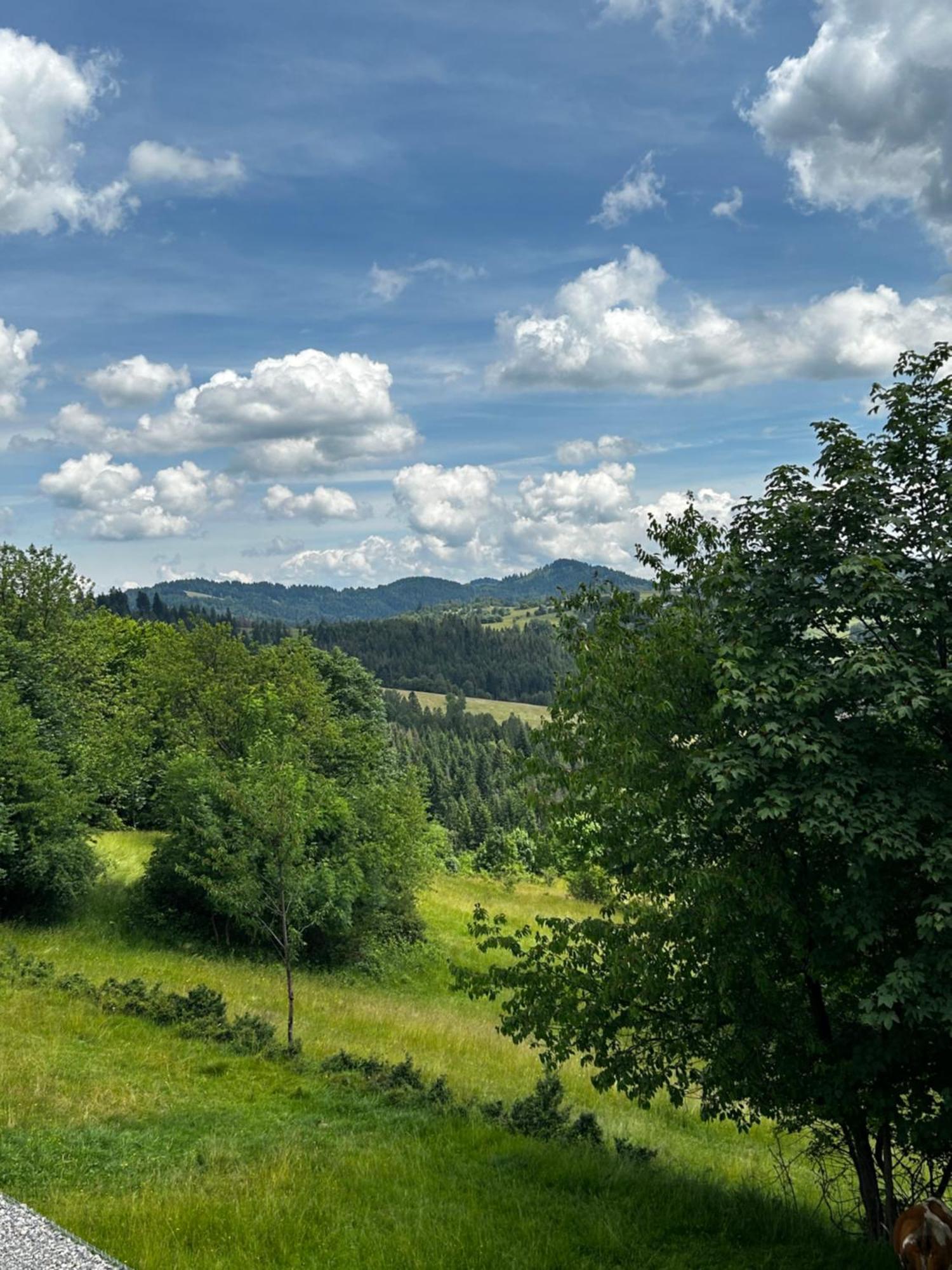 Villa Acko Oscadnica Esterno foto