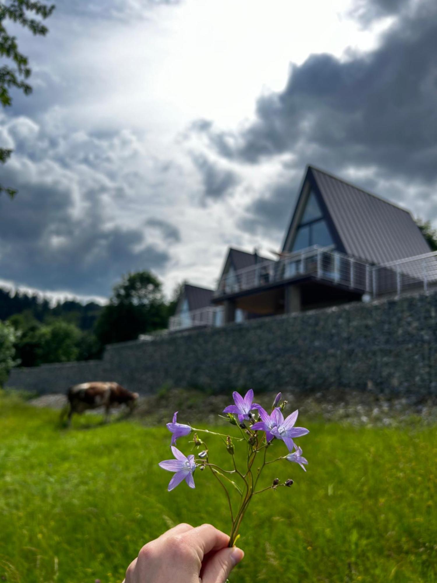 Villa Acko Oscadnica Esterno foto